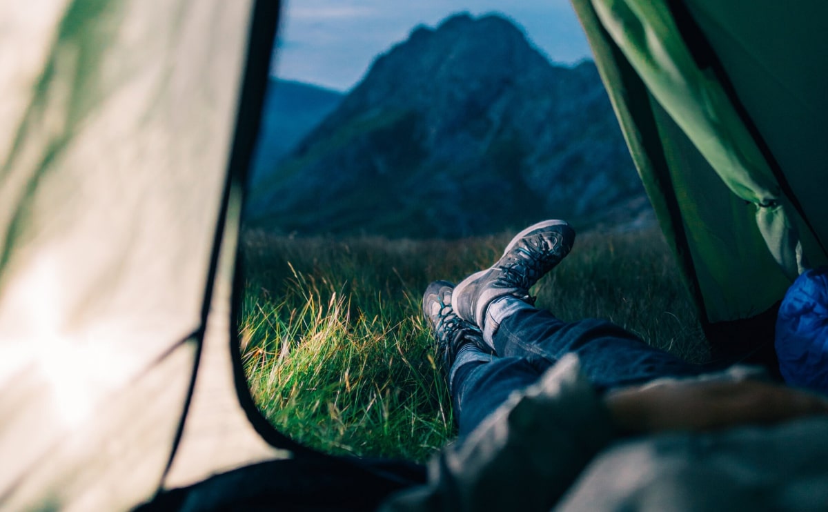 Green interior design inspiration