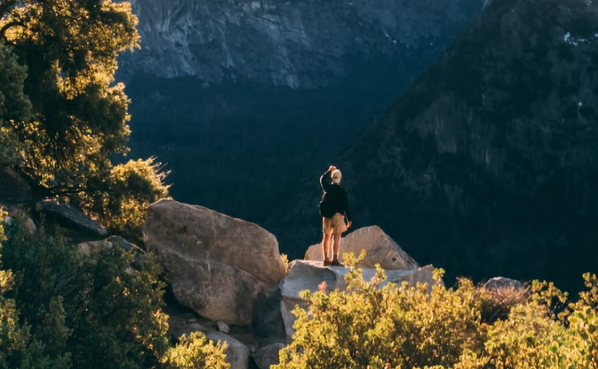 Reinterprets the classic bookshelf